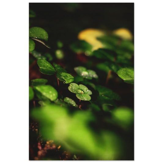 f4e3a3bf-dbb6-411d-aa61-d43fd7a0c8e0