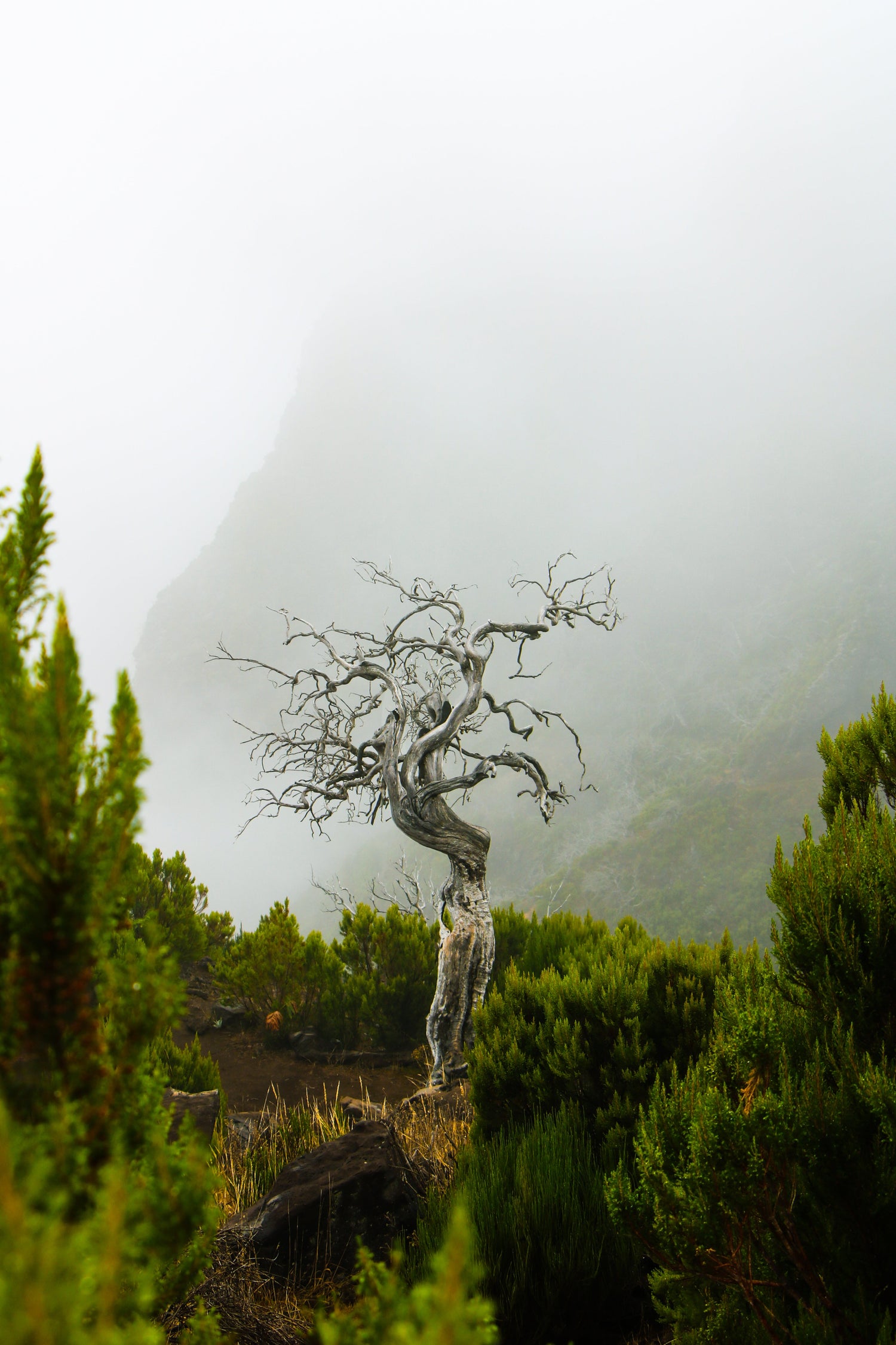 COLLECTION DECOUVERTE