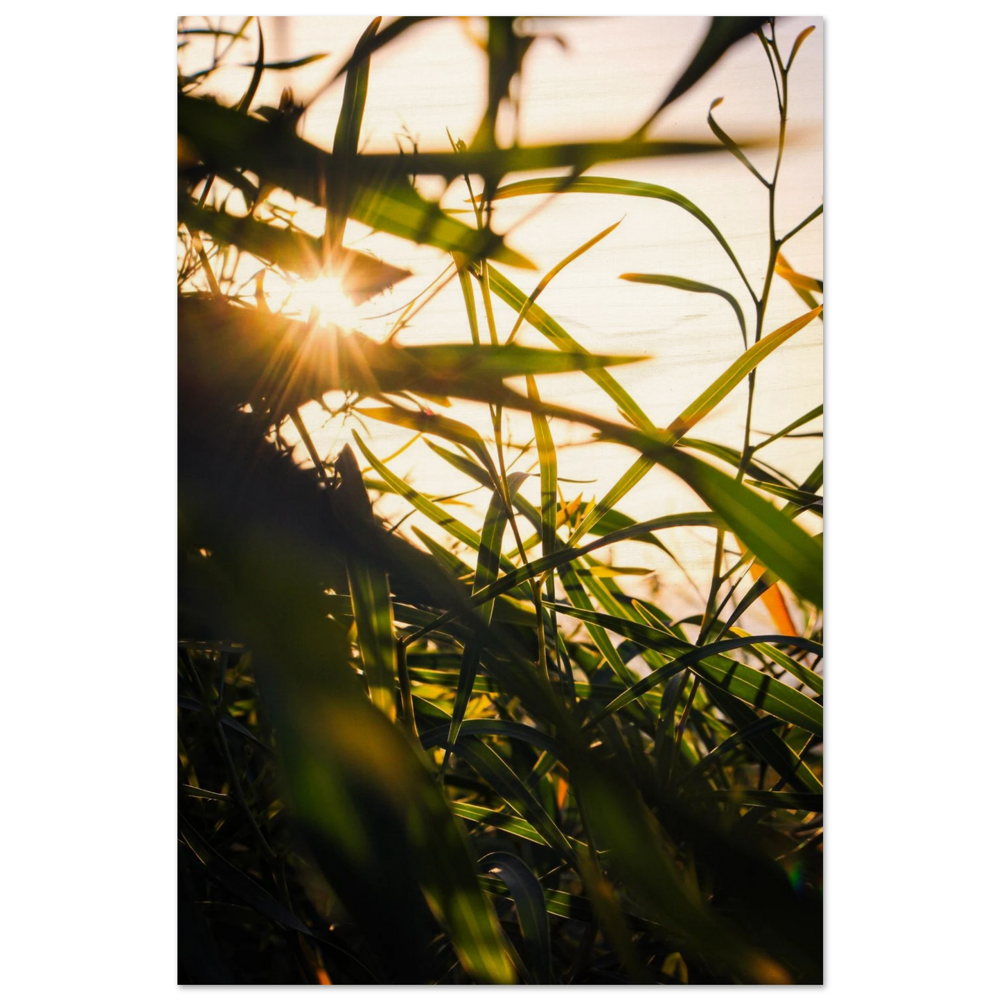 072778b9-9b2c-4b14-bbfc-992e6abc83ca