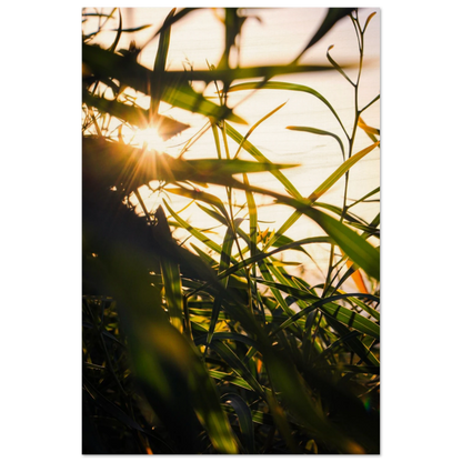 072778b9-9b2c-4b14-bbfc-992e6abc83ca