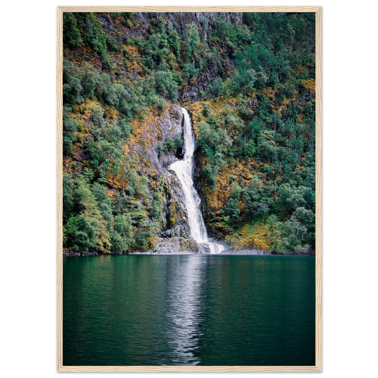 09537c1a-fa1e-481e-8ccc-60d7984ae235