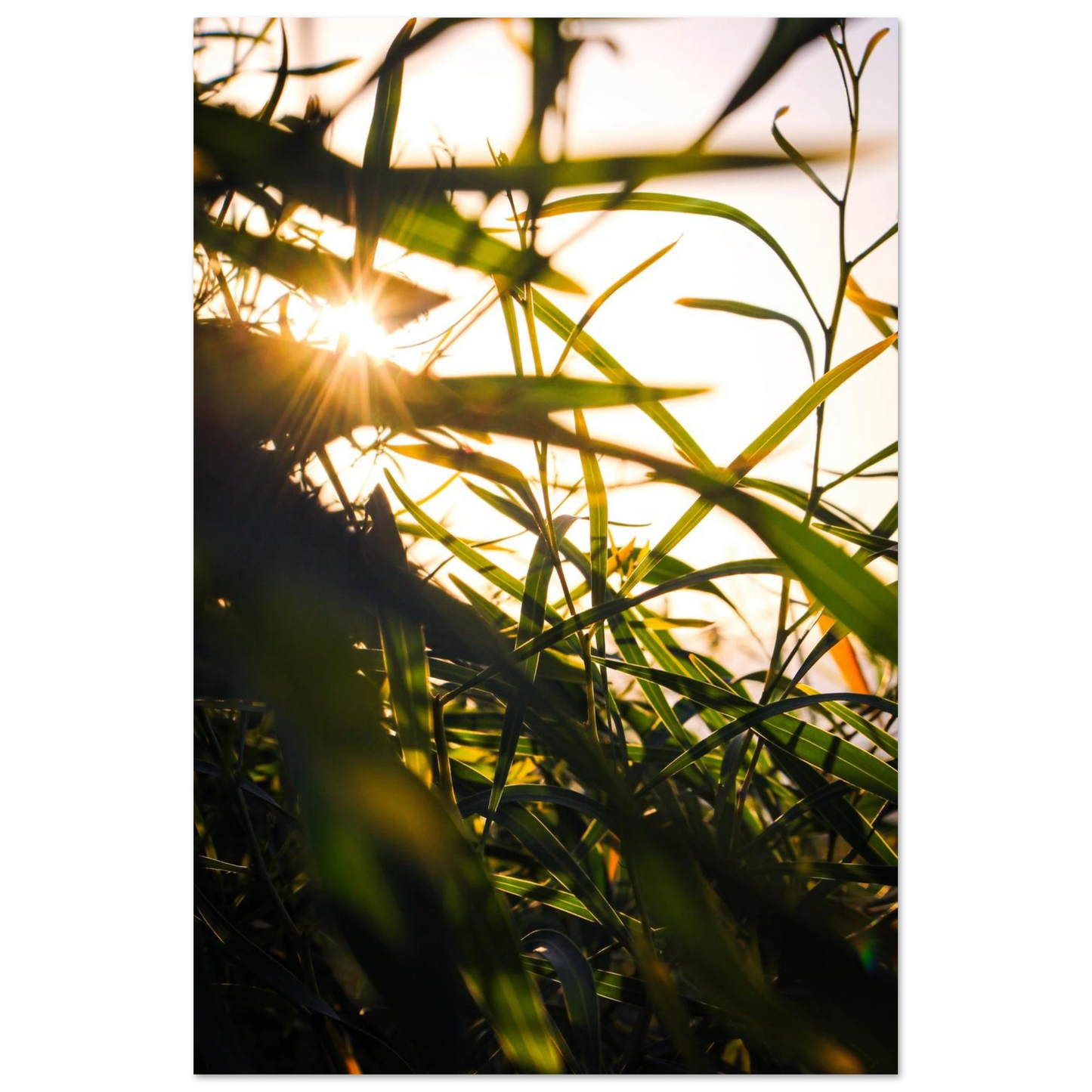 102083fb-7832-4169-8dbd-02502bca7dc4