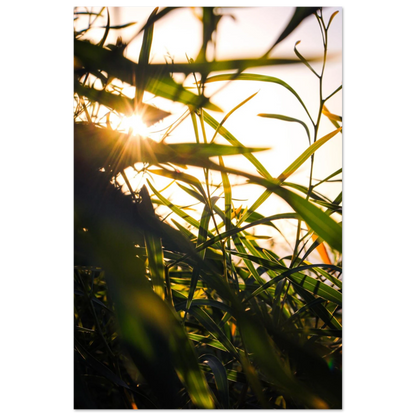 102083fb-7832-4169-8dbd-02502bca7dc4