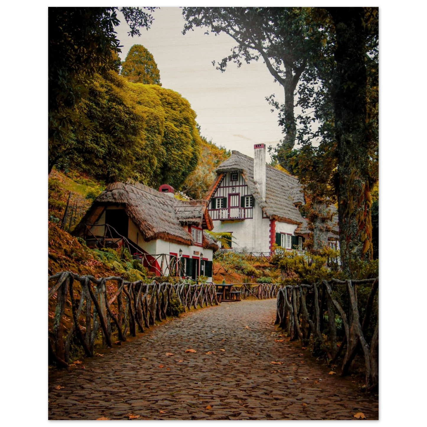 16d55db1-aca2-47a4-bf46-eb1323a3dae1