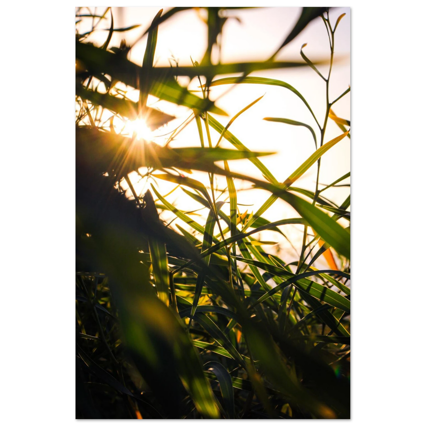 1b58b44e-e722-4af6-96b8-c525d8ab3b09