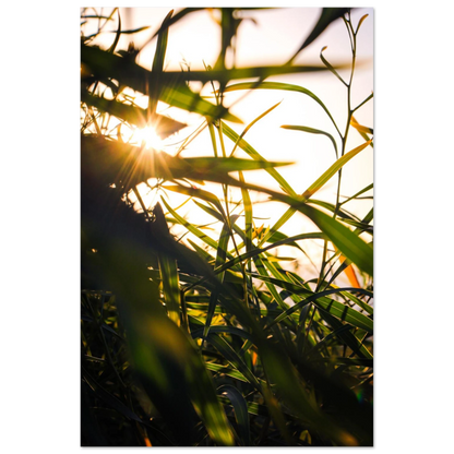 1b58b44e-e722-4af6-96b8-c525d8ab3b09