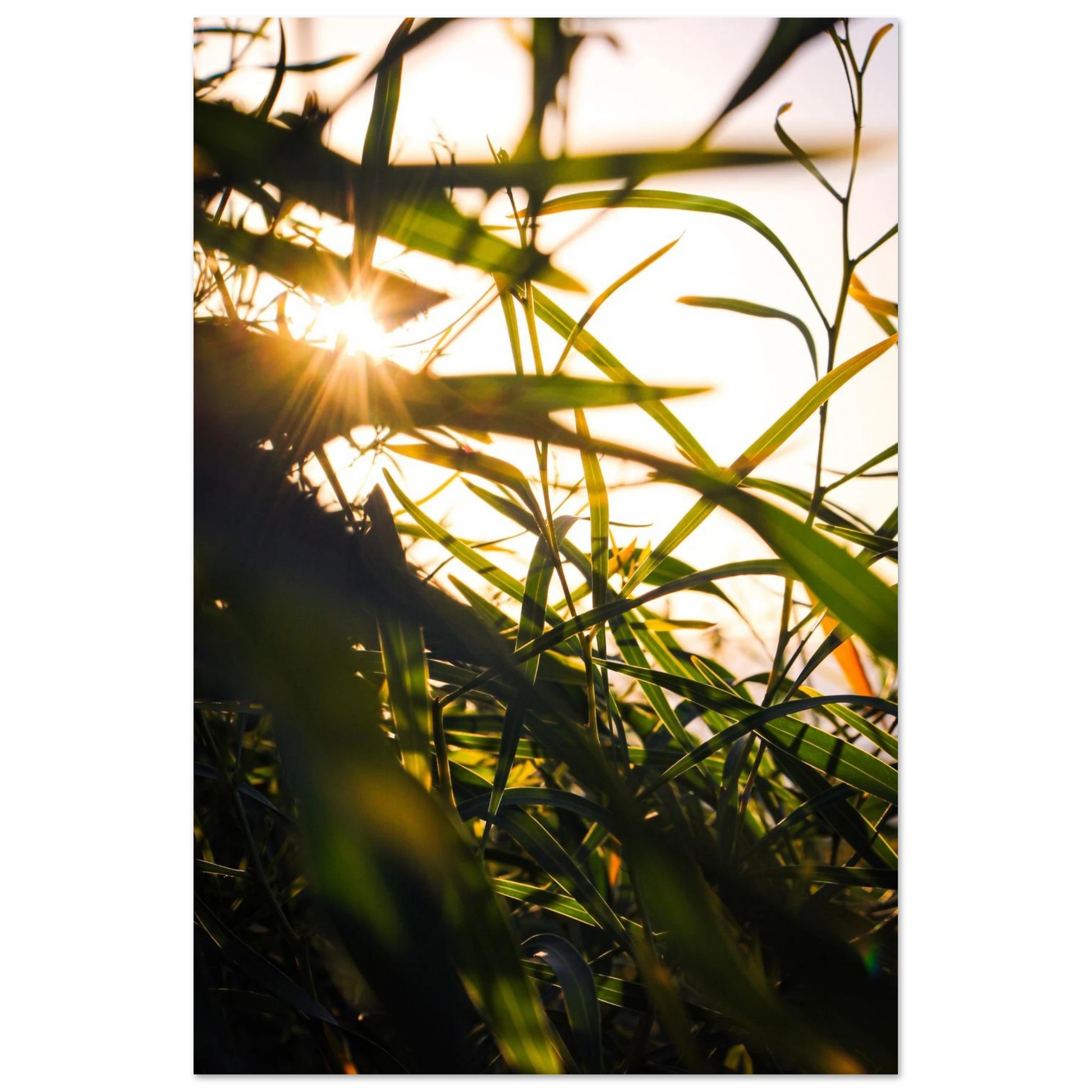 1e58a0a2-6191-43fe-b19b-68adc96eb300