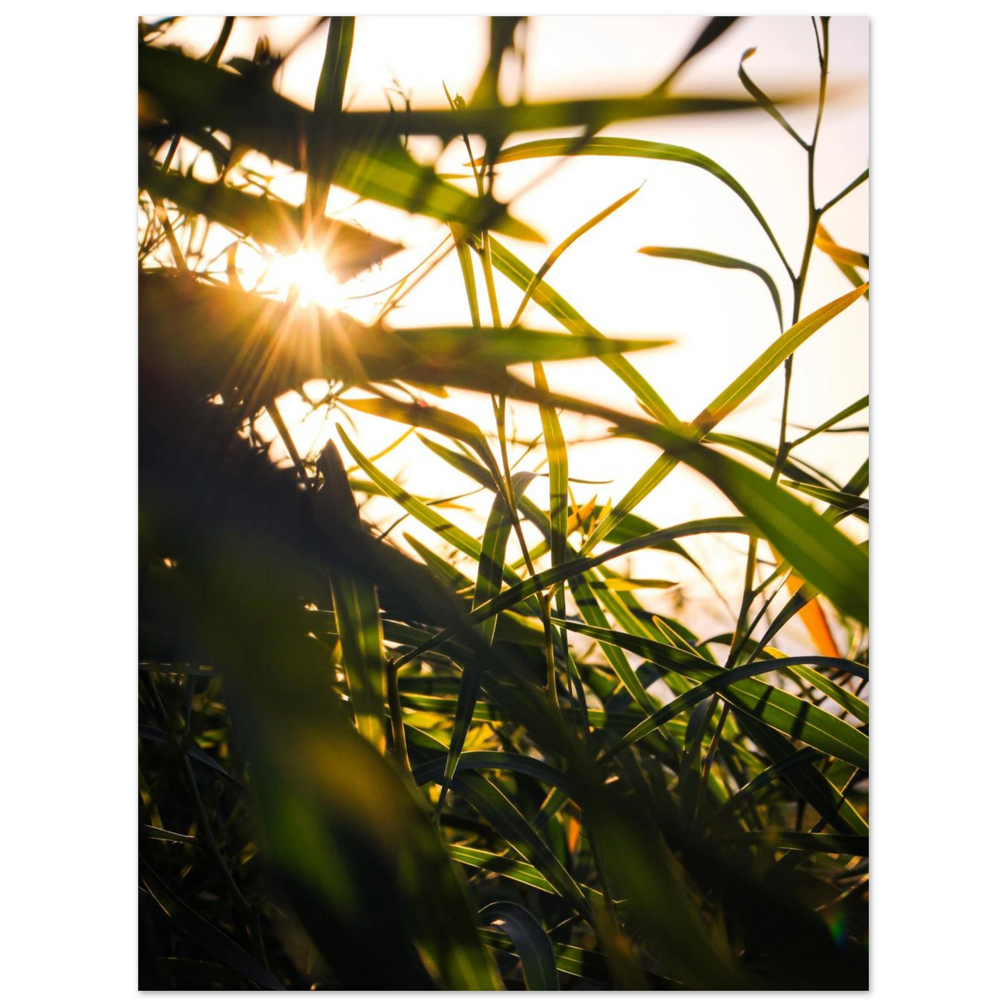 241751c1-df70-46d7-b132-479296afb26d