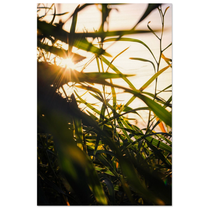 269aa68b-31d5-40a7-ad0b-2fa074d50791