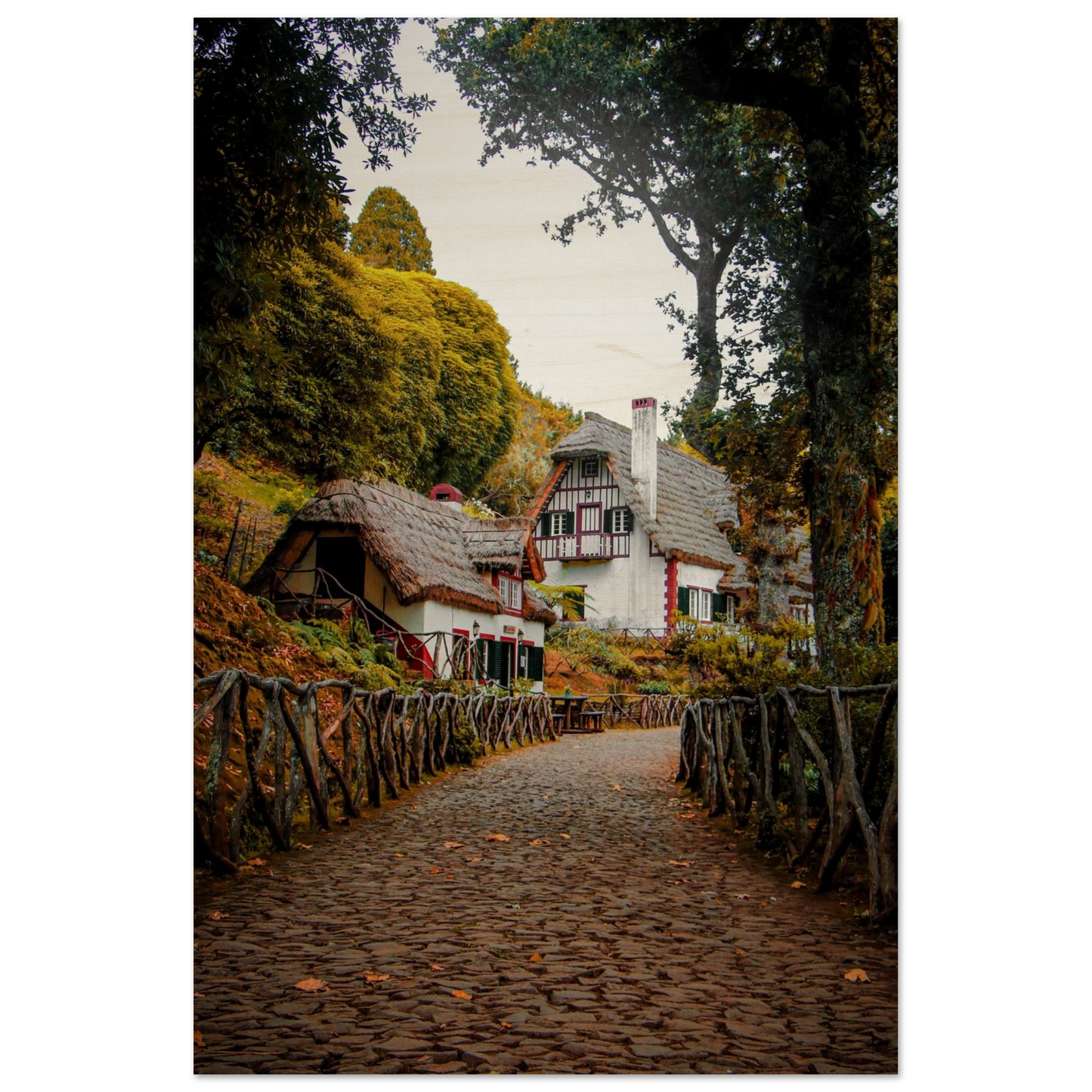 26b8fa7b-0c96-415c-92fb-70ff6f48e696