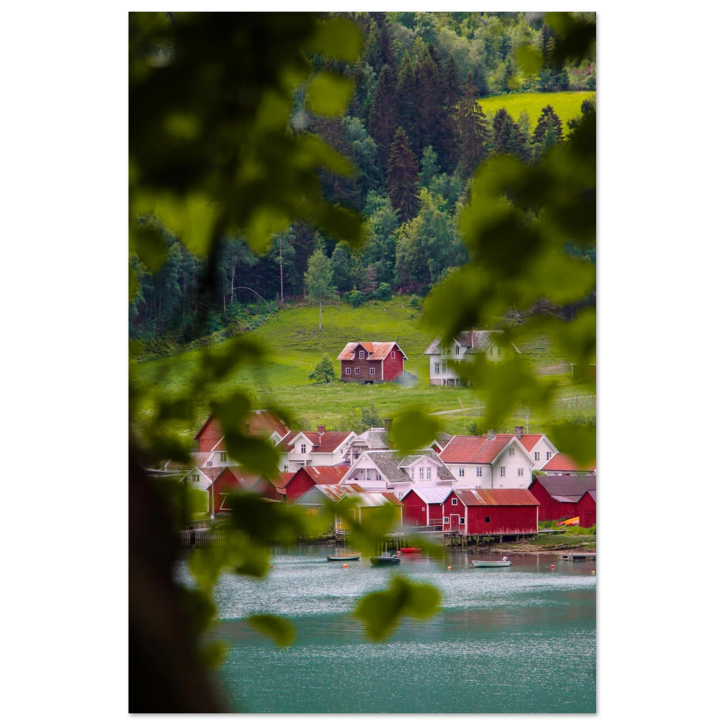 28d95772-8a82-4211-a4ee-4eee661dbd42