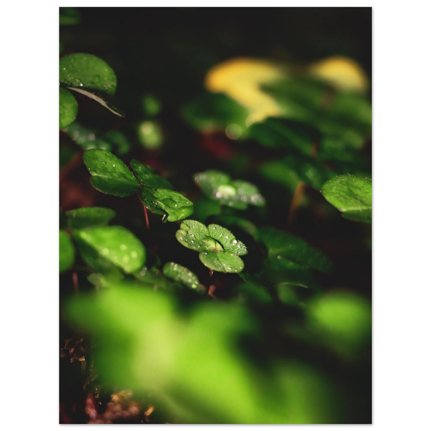 31a42ca1-1e88-4ae2-aa03-3bf03c803cb5