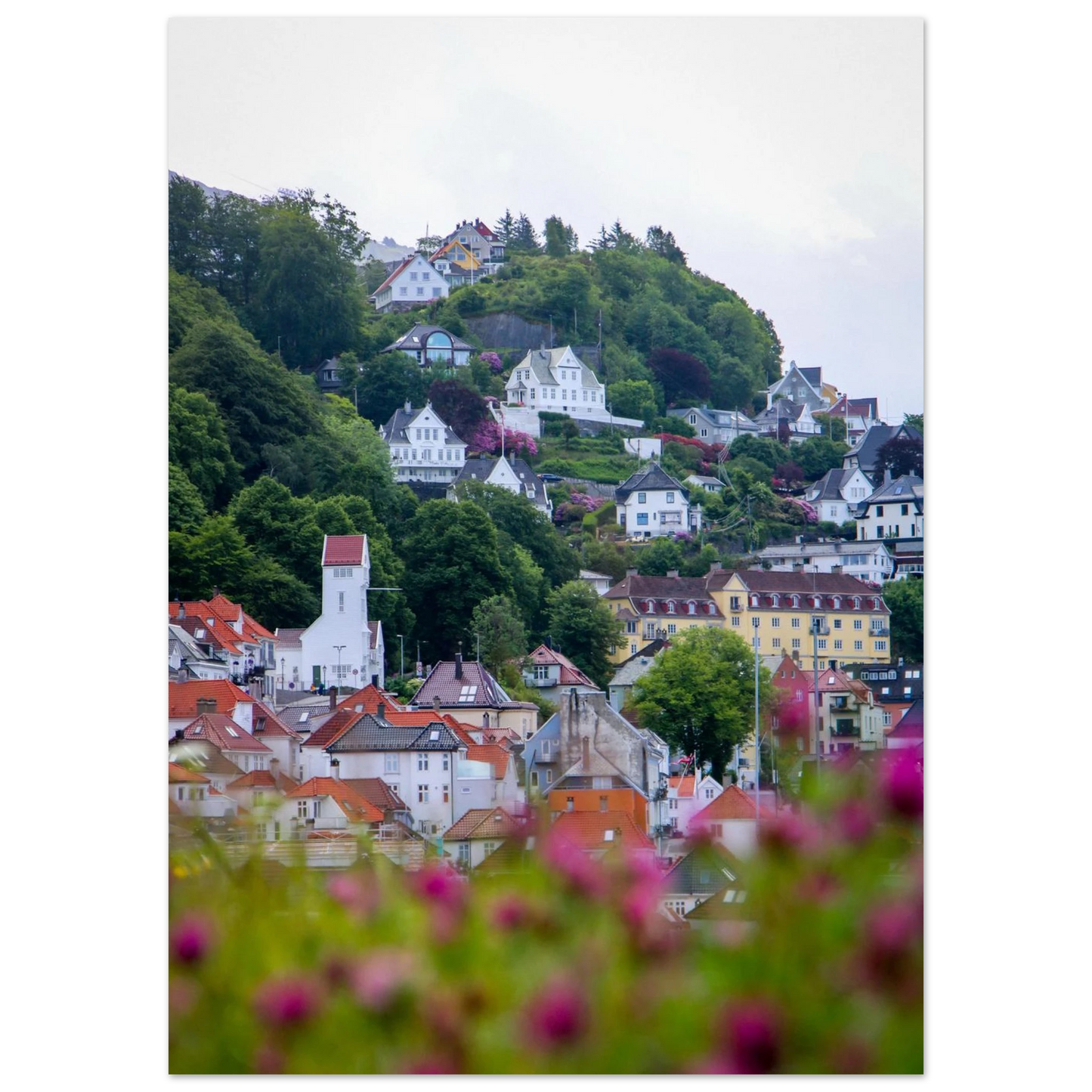 323363a3-7ac0-42b5-b9bf-9e65ba3d625a