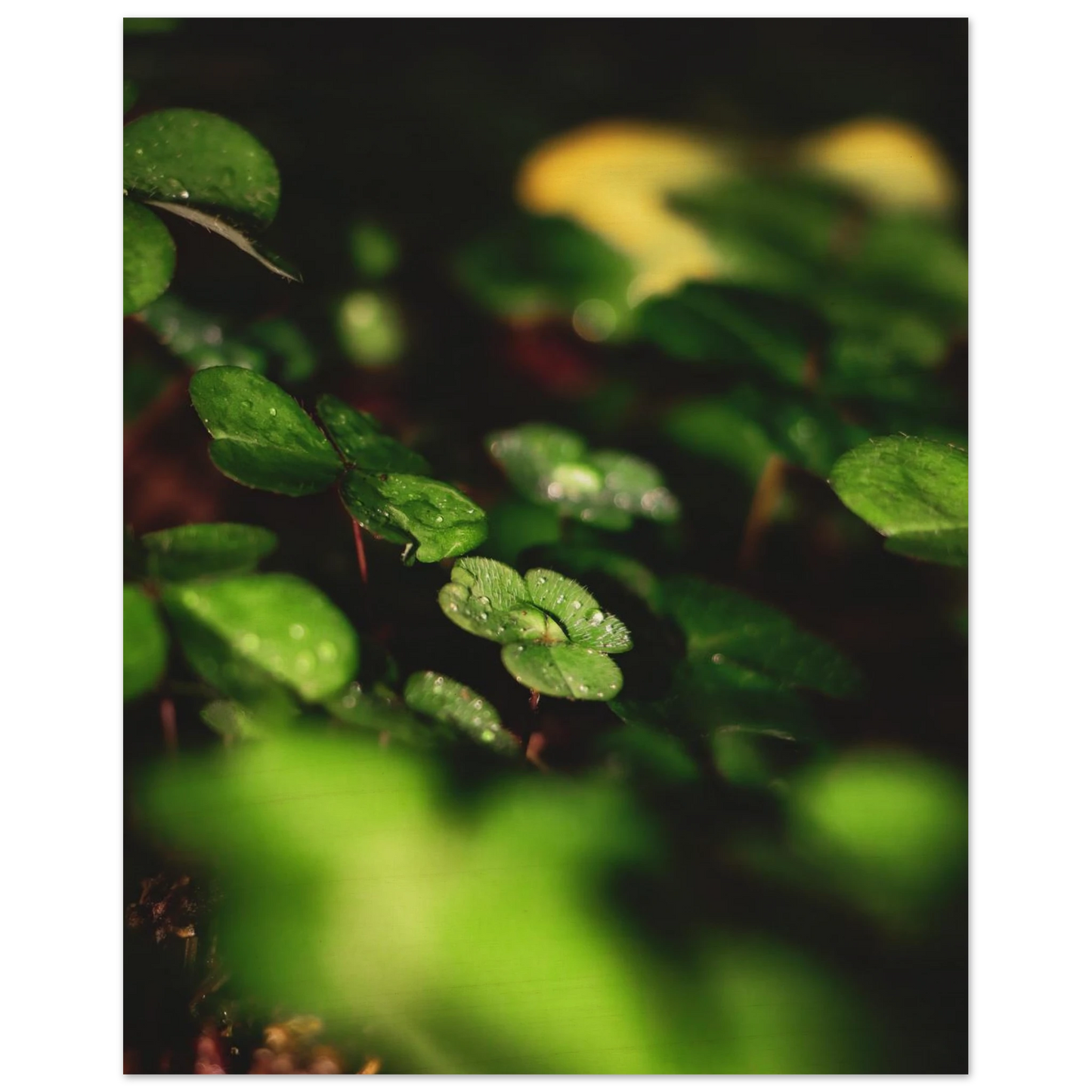 49249d9f-a349-47ad-b230-9aab2f5c67c5