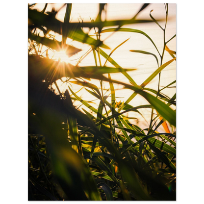 50132c4a-49fb-43fb-8a5d-1c2fc1ce45b6