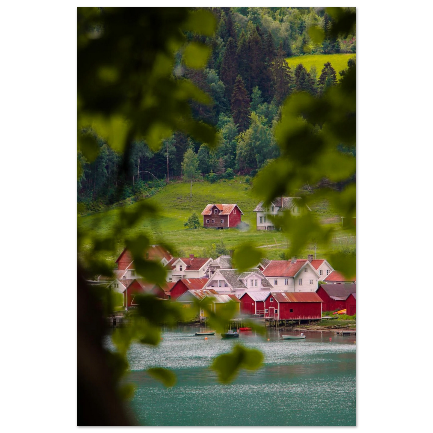 513c4ec9-c6f1-4093-bd90-6b09b7b9722a