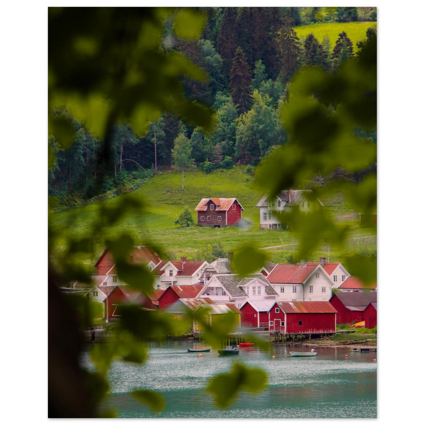 545d2223-483a-4016-8bc1-96963dd48245