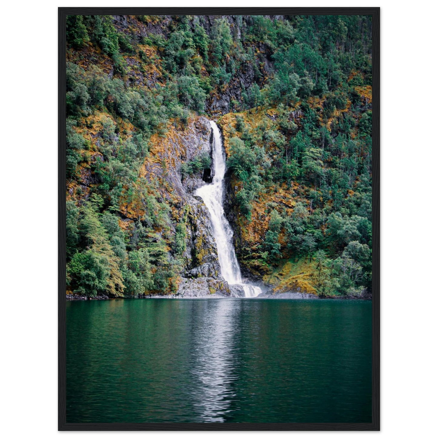 55b31299-2c30-4c90-ae2e-eeb98ddc155a