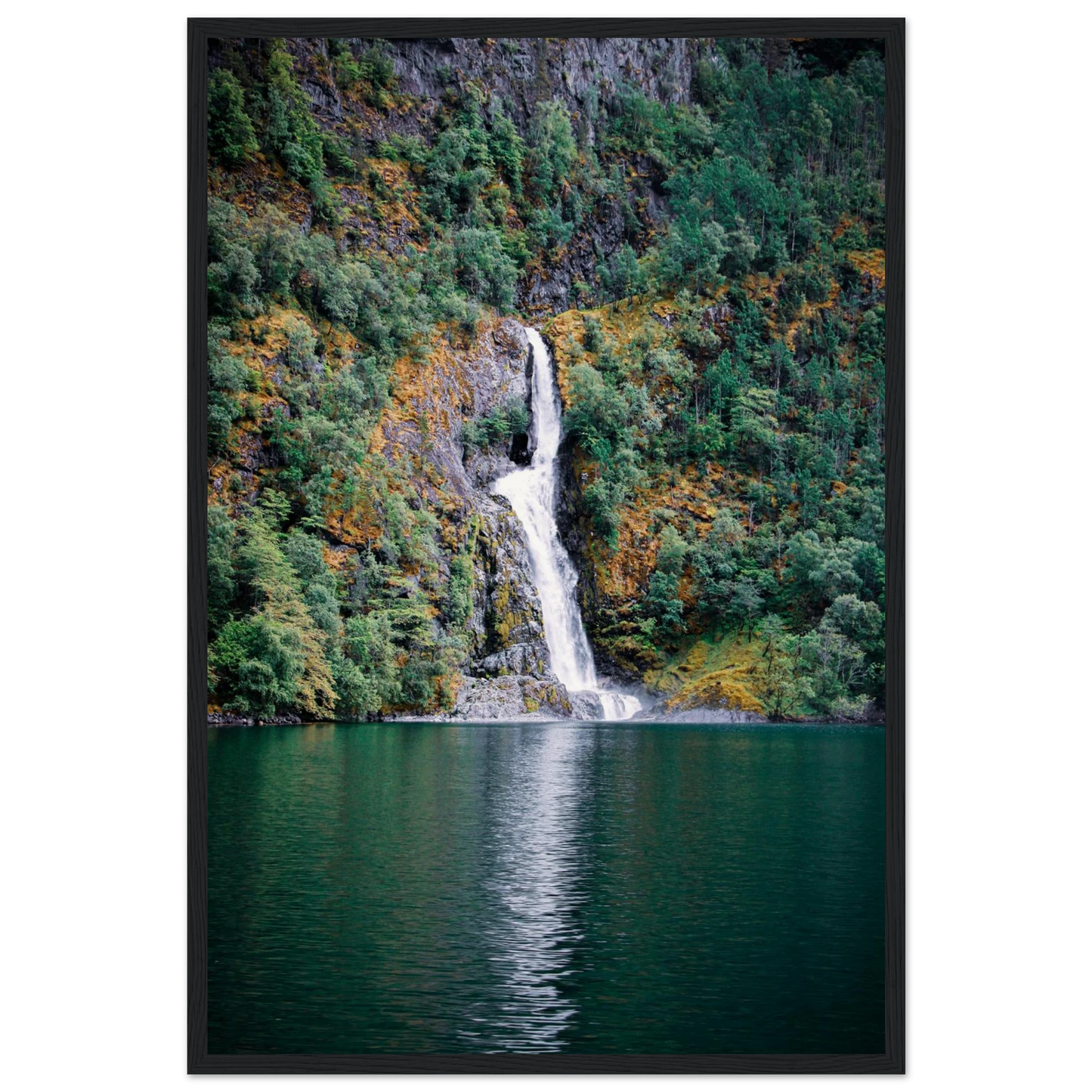 5ed0ad81-5a90-4371-85b4-99978074b0e5