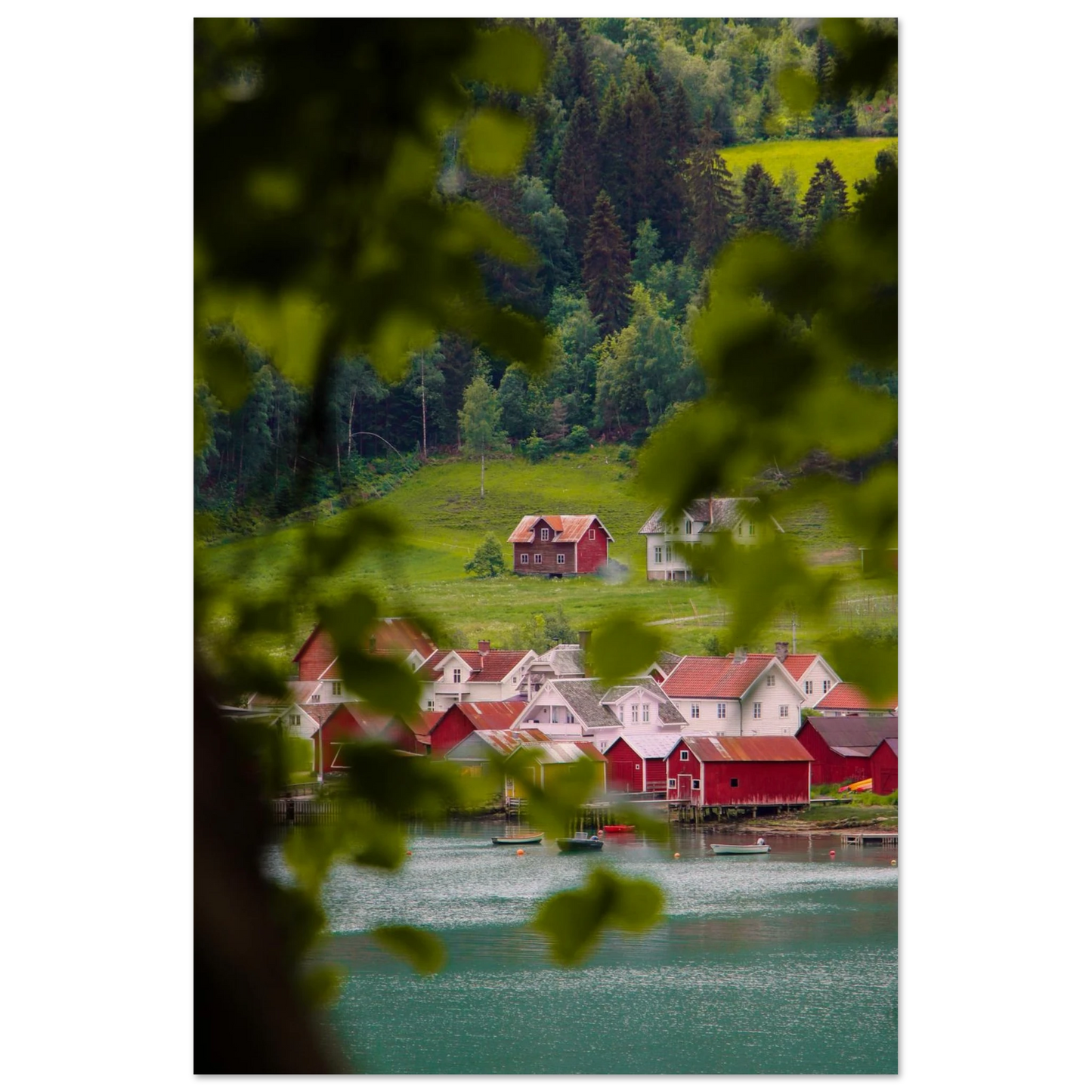 69b3cb84-768d-418e-8579-594679ed4622