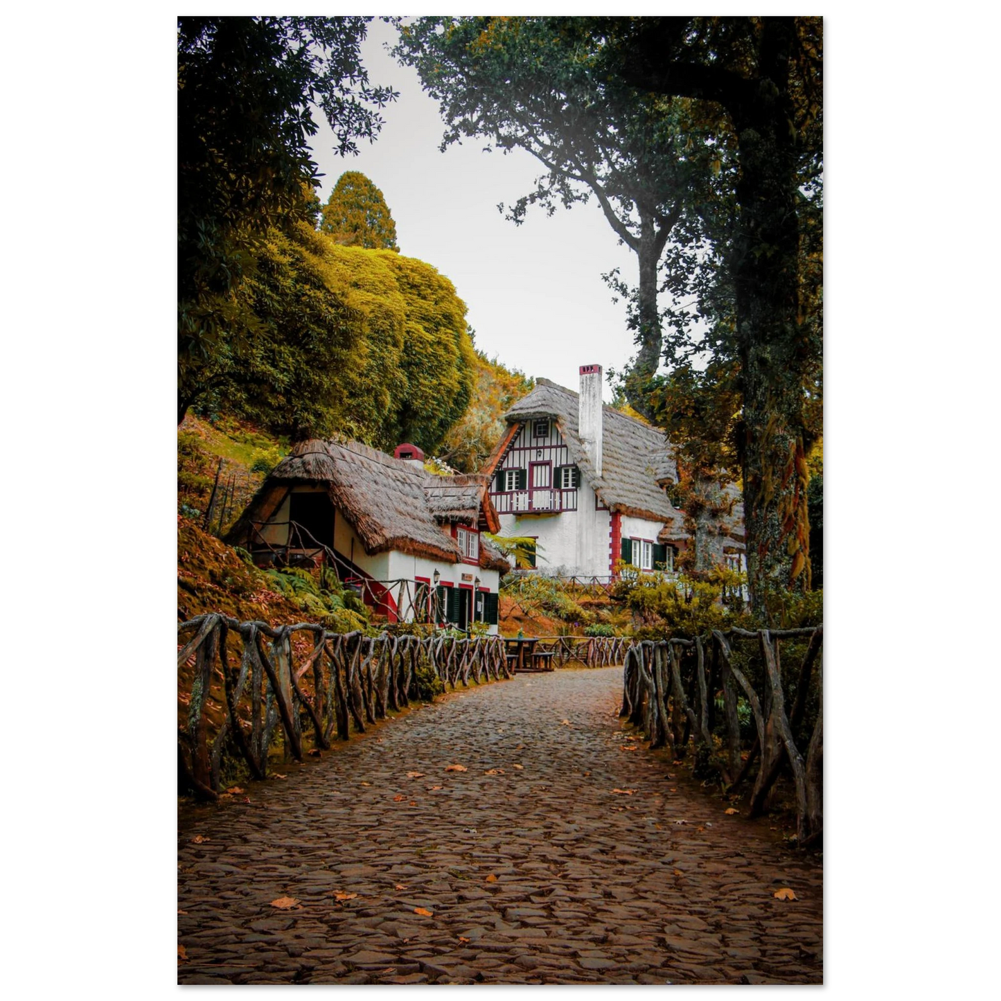 749123f0-e2cf-4f7f-81af-17406c5fd3cf