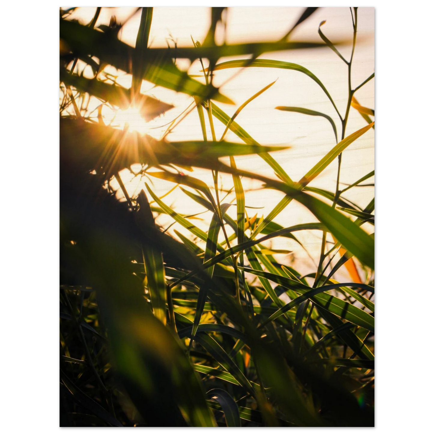 756c98a0-3936-427e-a4a4-02243913930e