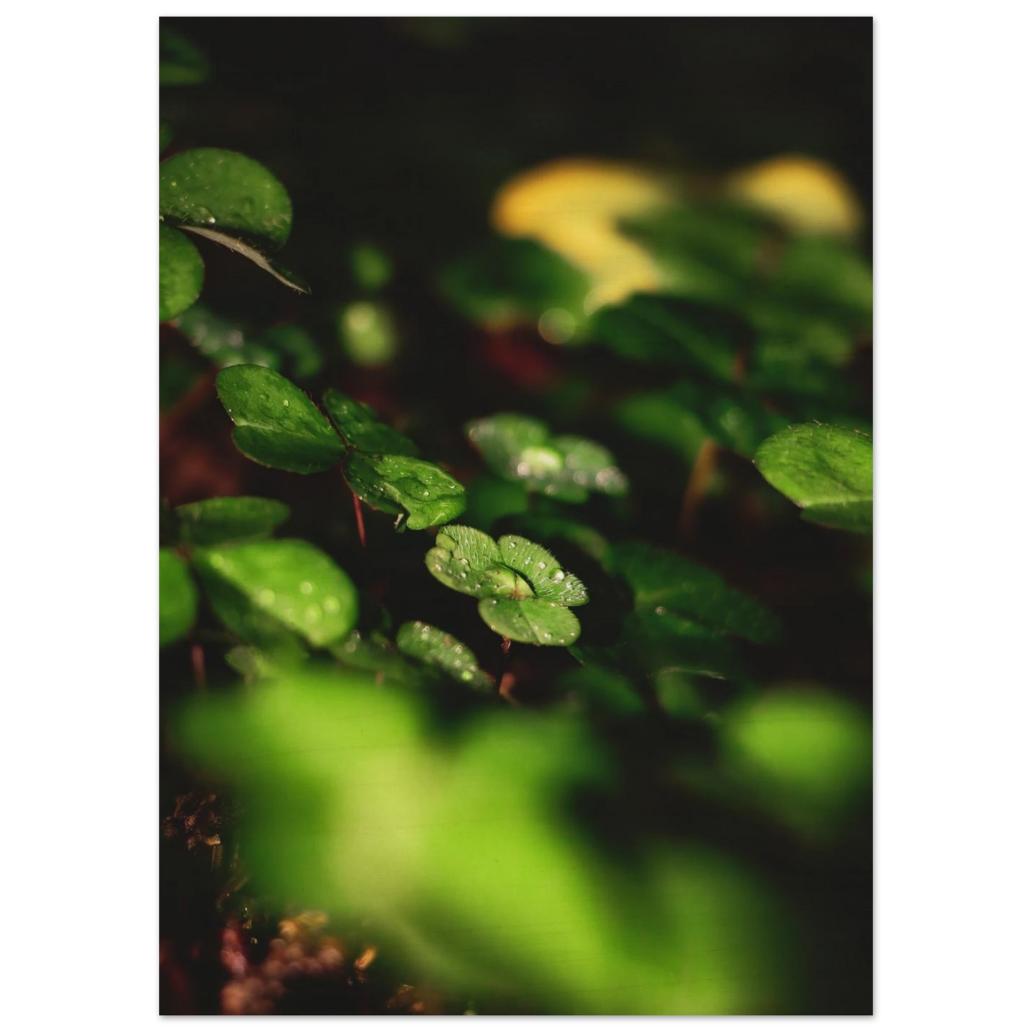 780abce2-2165-4392-9f8b-c59c63d3c69d