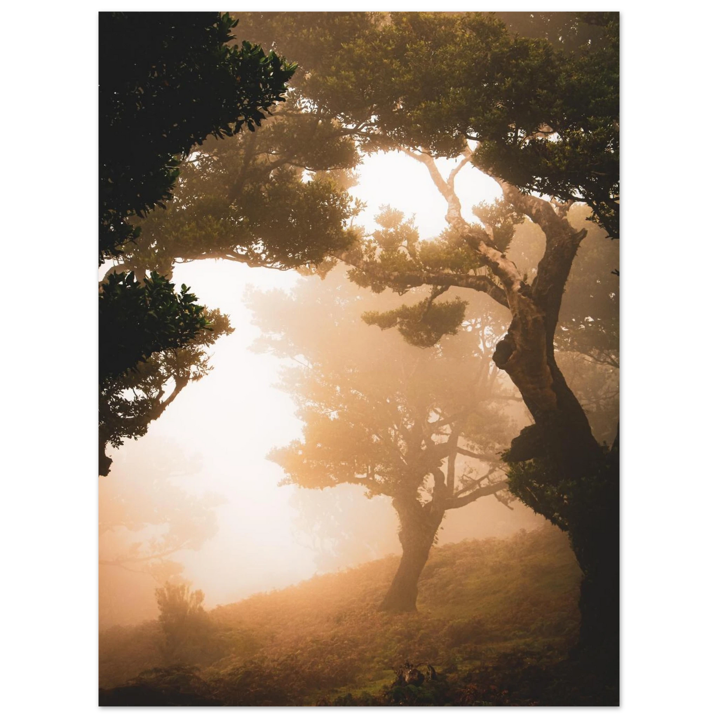 7ca799db-fbc4-4c13-b259-be4fb4075322