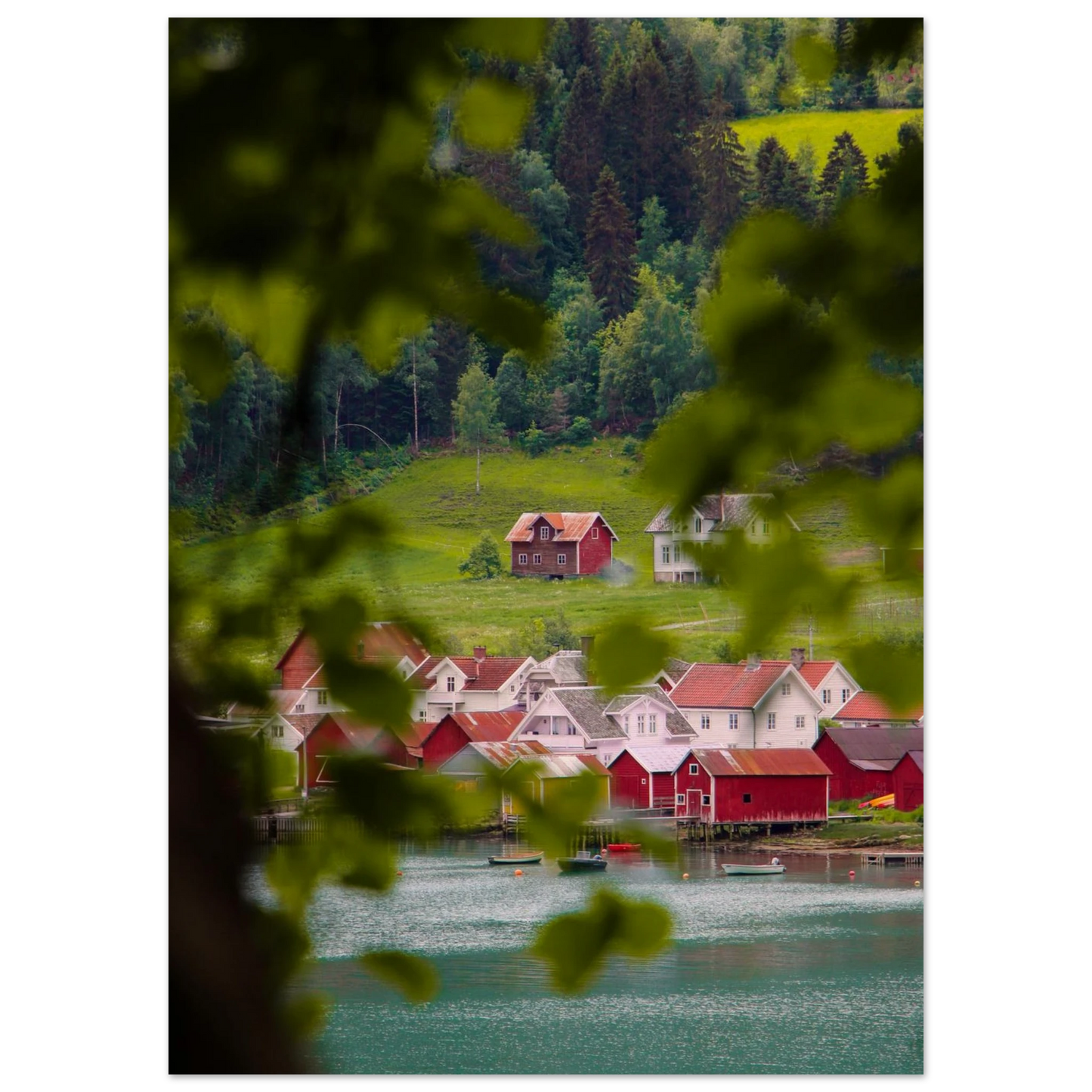 7fccc9af-bba9-4500-94cb-c5431e5224d0