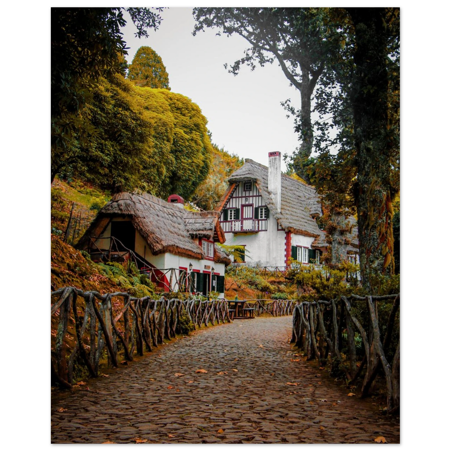 863c4154-cc3c-4338-a2be-771888424814