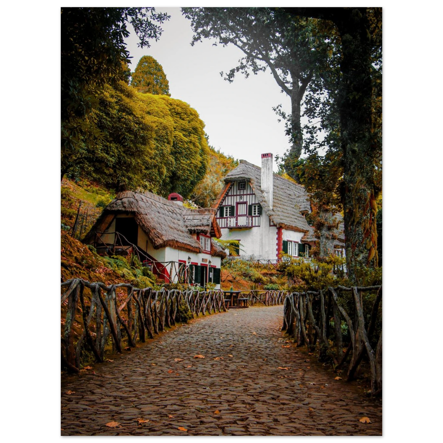 90700f8c-70df-4108-811c-2a790f9067bc