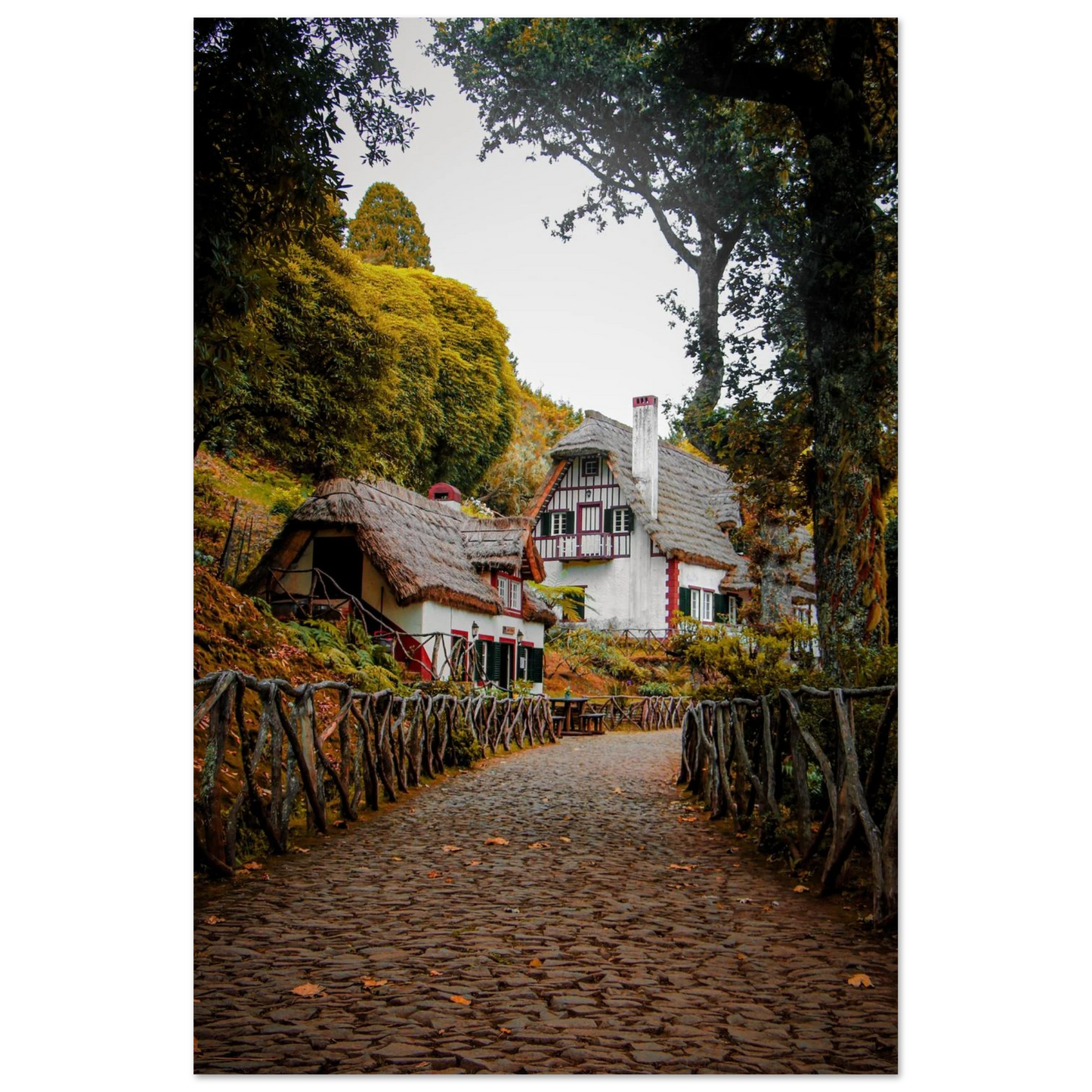 932a0f98-c2e6-4a9a-8927-fb13e5045dde