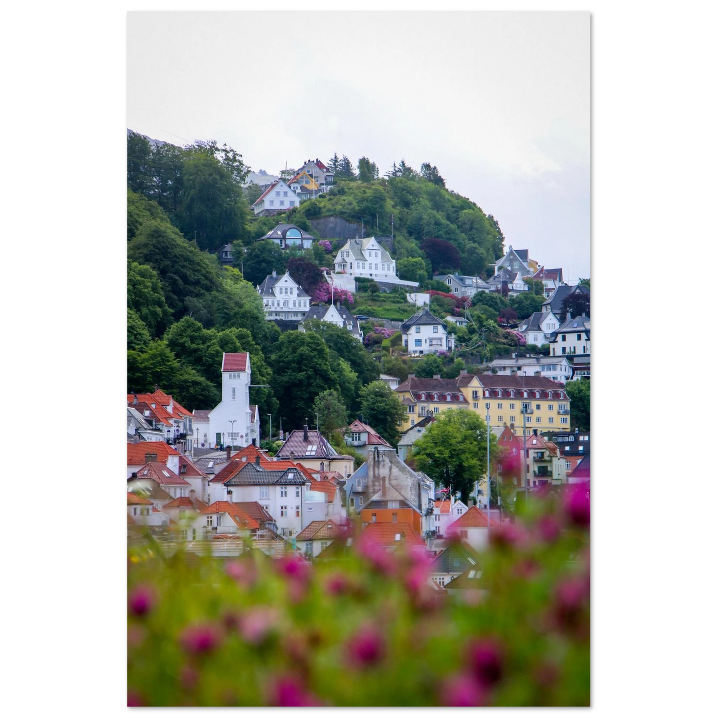 96fbe746-fd64-4bdf-926a-5a8e4221b900