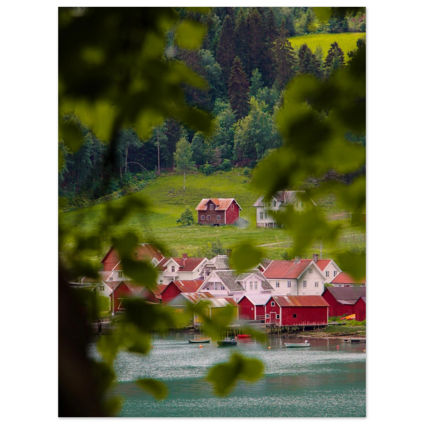 97cca56a-9299-41a9-9aa5-db1fa56f1f4e