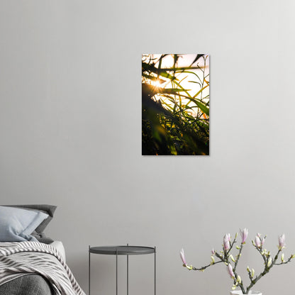 990a73ba-362a-4227-a4e0-1b9e12e6bea9