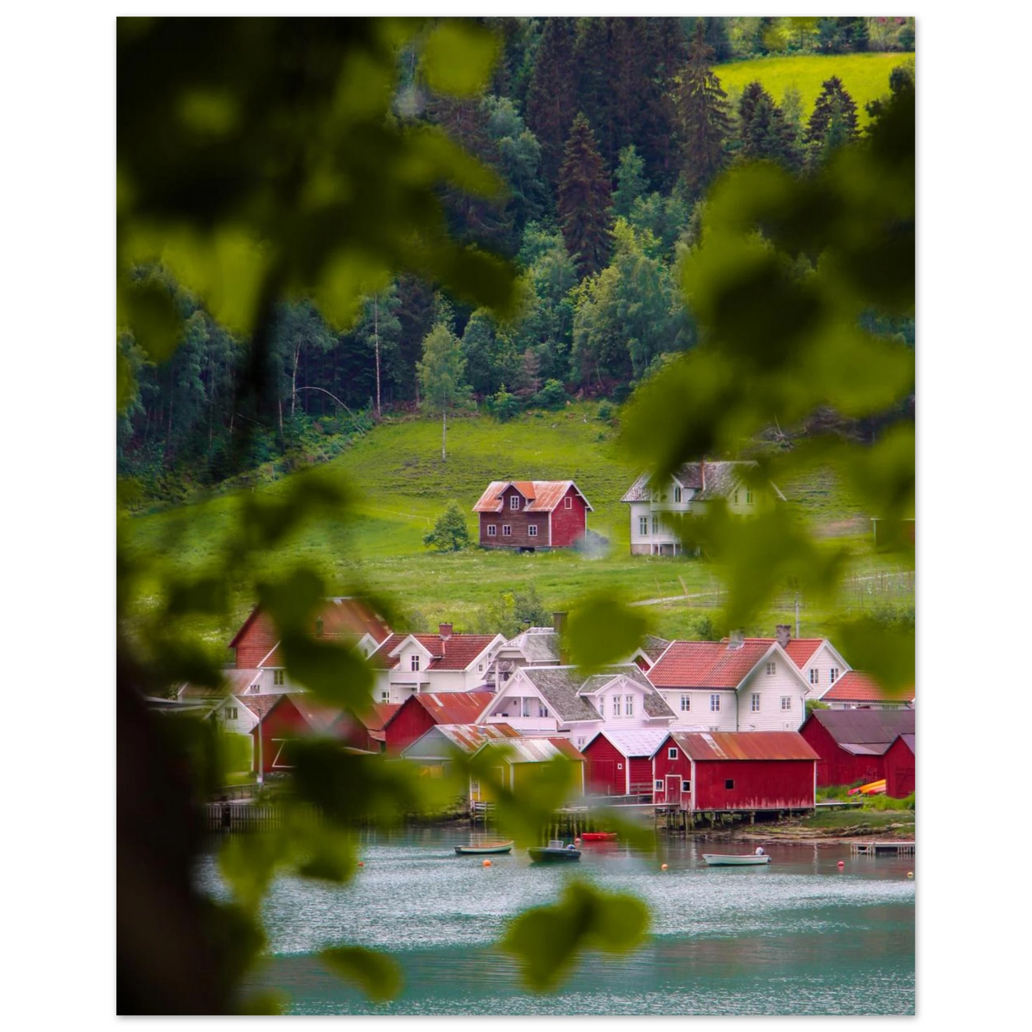 9e99b6ff-06b9-4256-9279-eee4f27f5b39