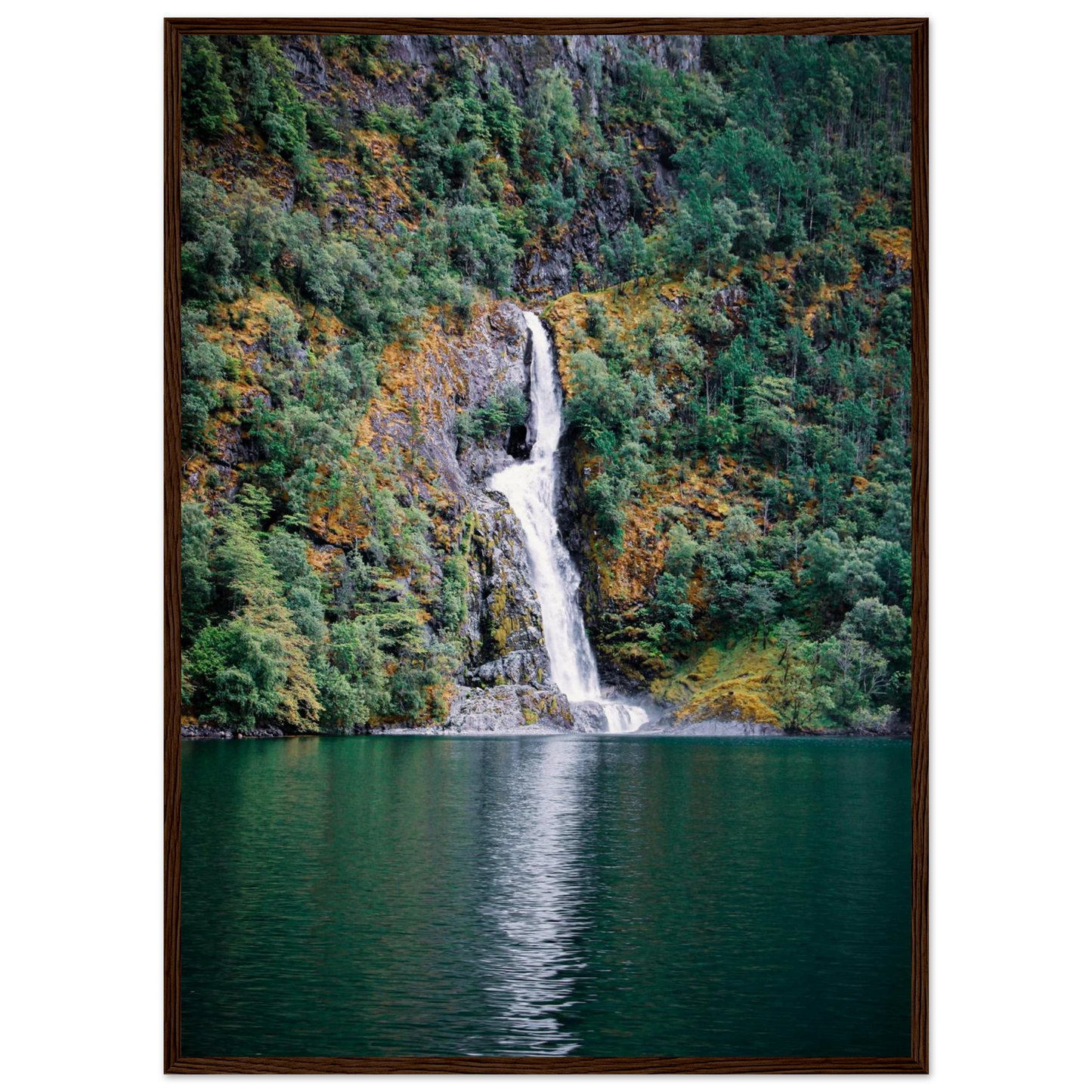 9f477d5a-30bd-4a8f-8399-33a560854e15