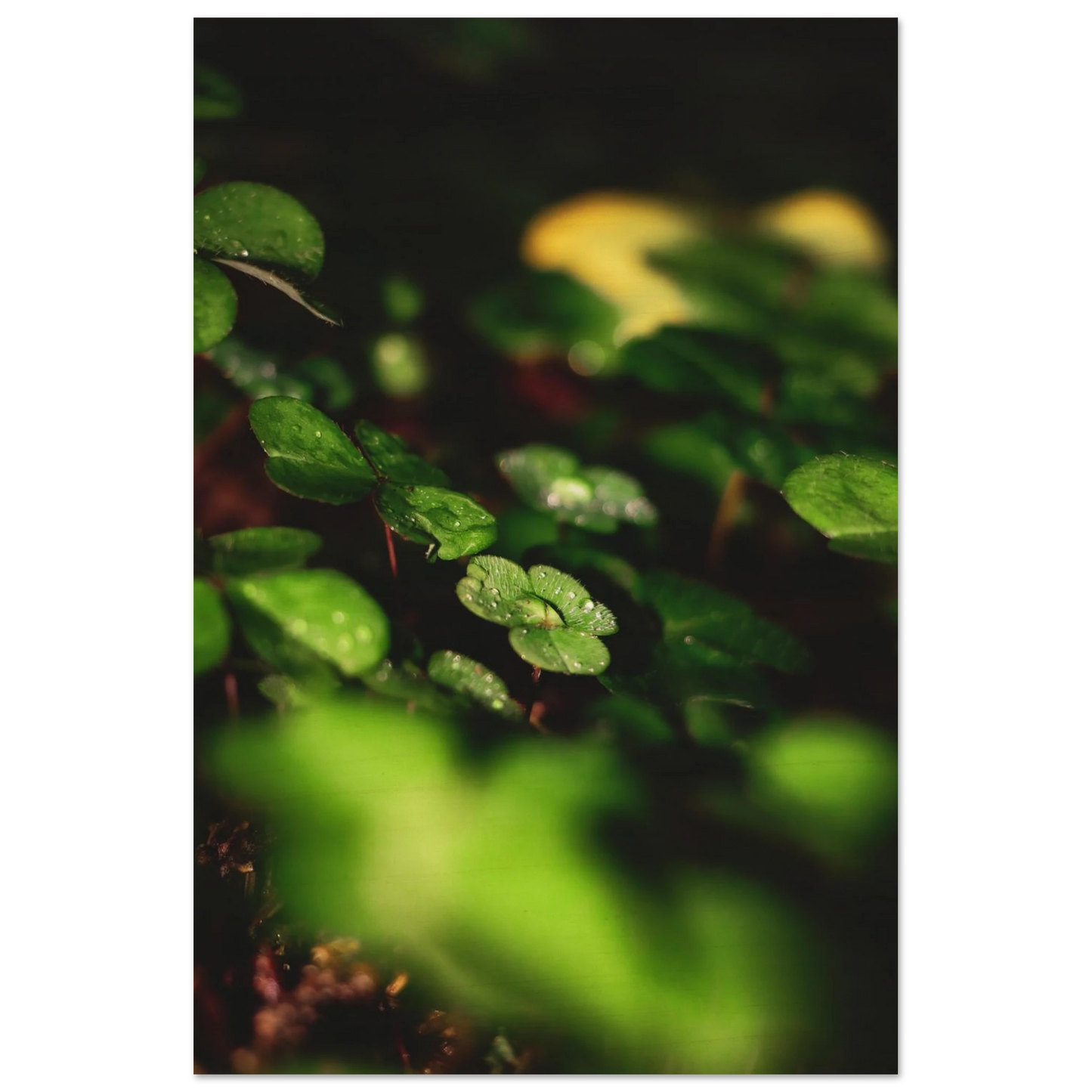 a92604dc-0284-48a3-b5cd-030e8ce7ea8c