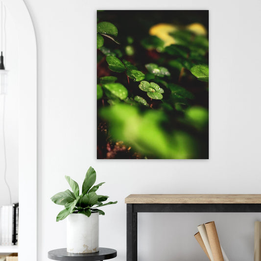 a9a95c54-e9db-4cc0-8a1f-b1b334740025