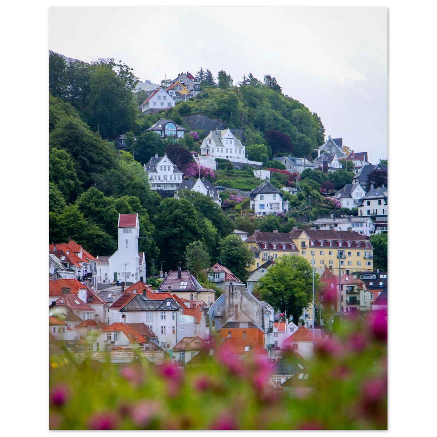 abc72754-e2fd-4bd9-b87f-6c7720b4ac3b