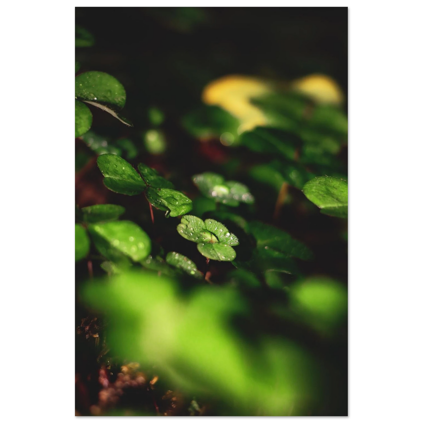 b34adc1d-5a55-4638-83c7-eea6ff7ba66b