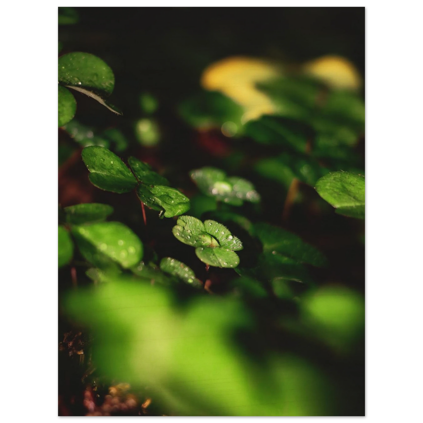 b8aaaac5-28be-4375-a4d2-77b22775167d