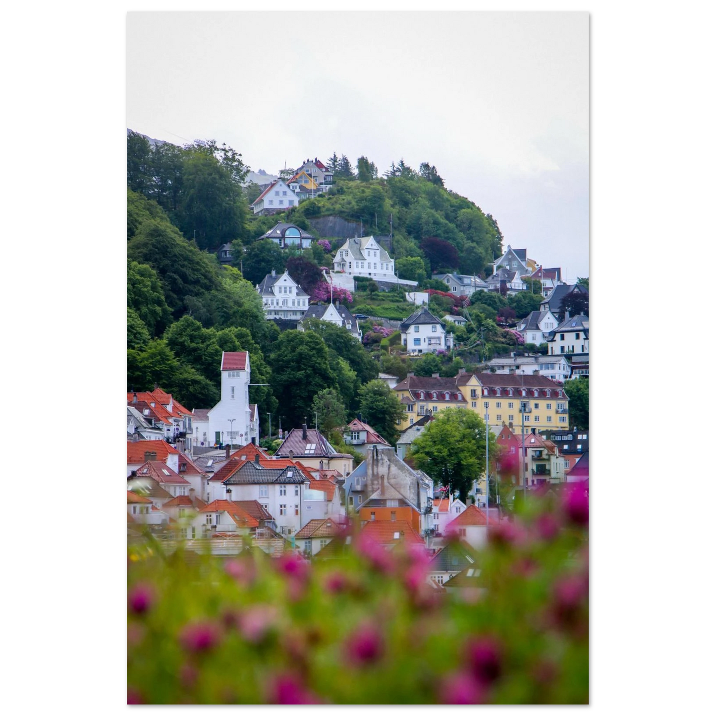 bba1c4d2-e11e-4031-a0c2-f28a45e8f4af