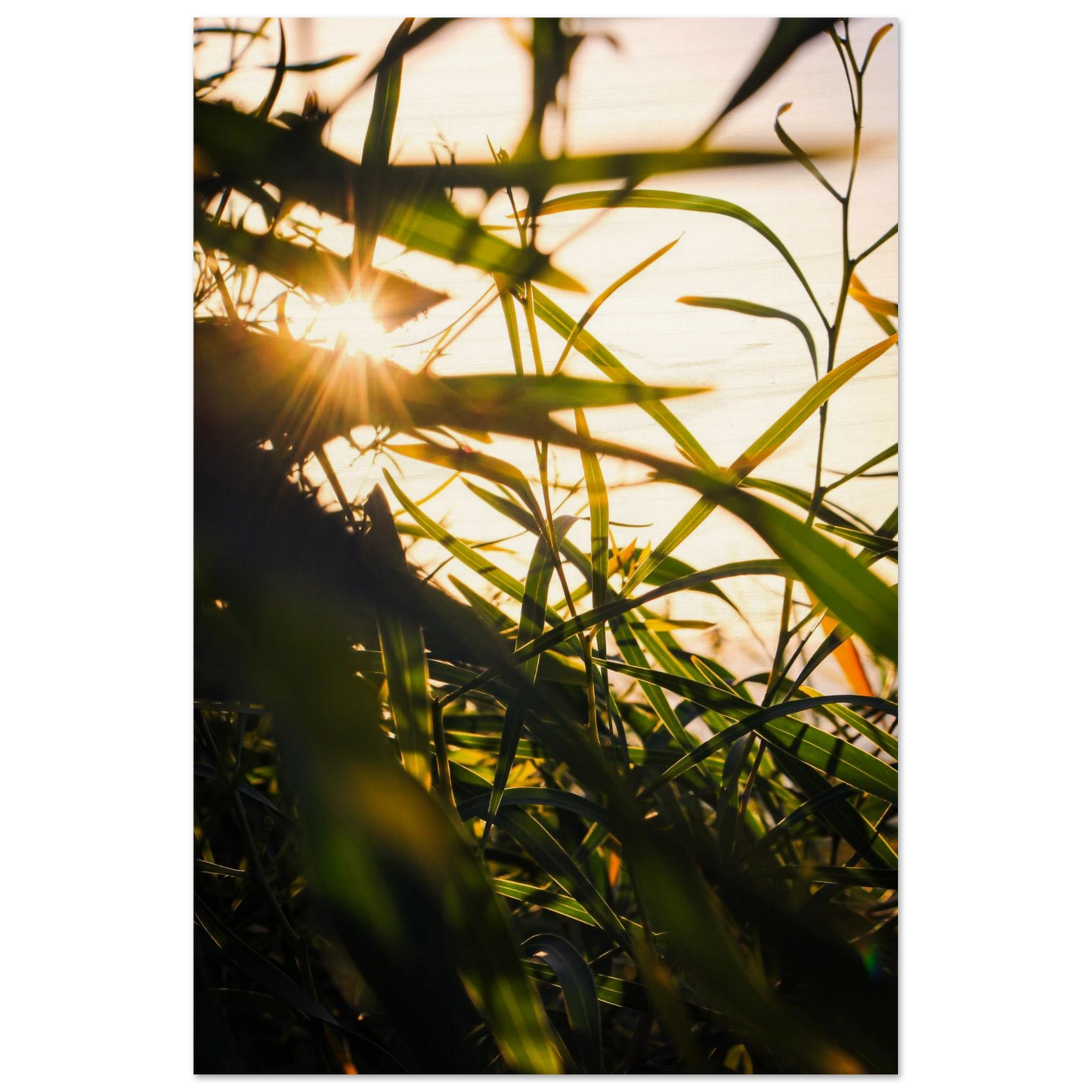 c603546b-4824-4893-880d-6fc50cc9858f