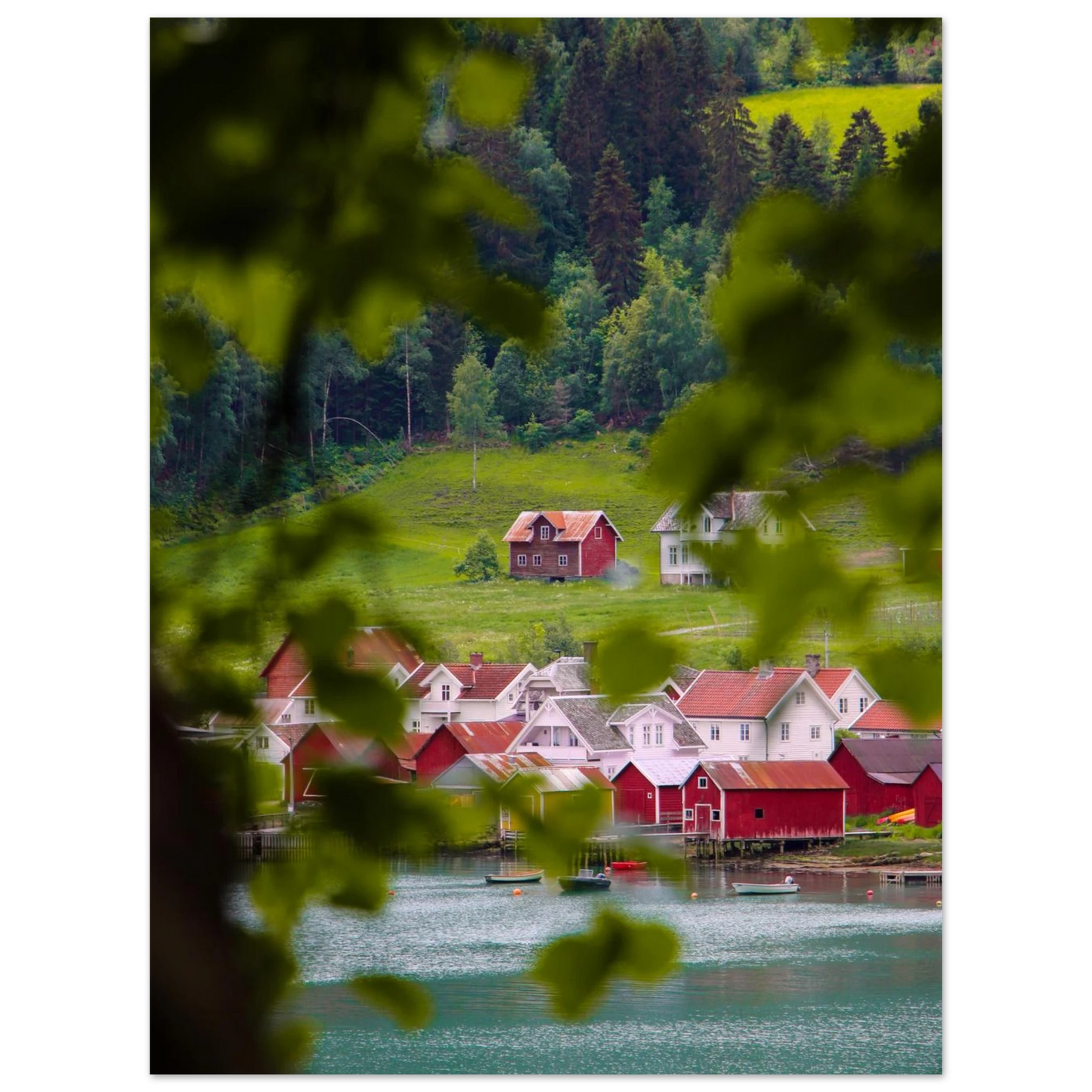 c7cbc36c-3a56-463c-baa1-a52ea86acc47