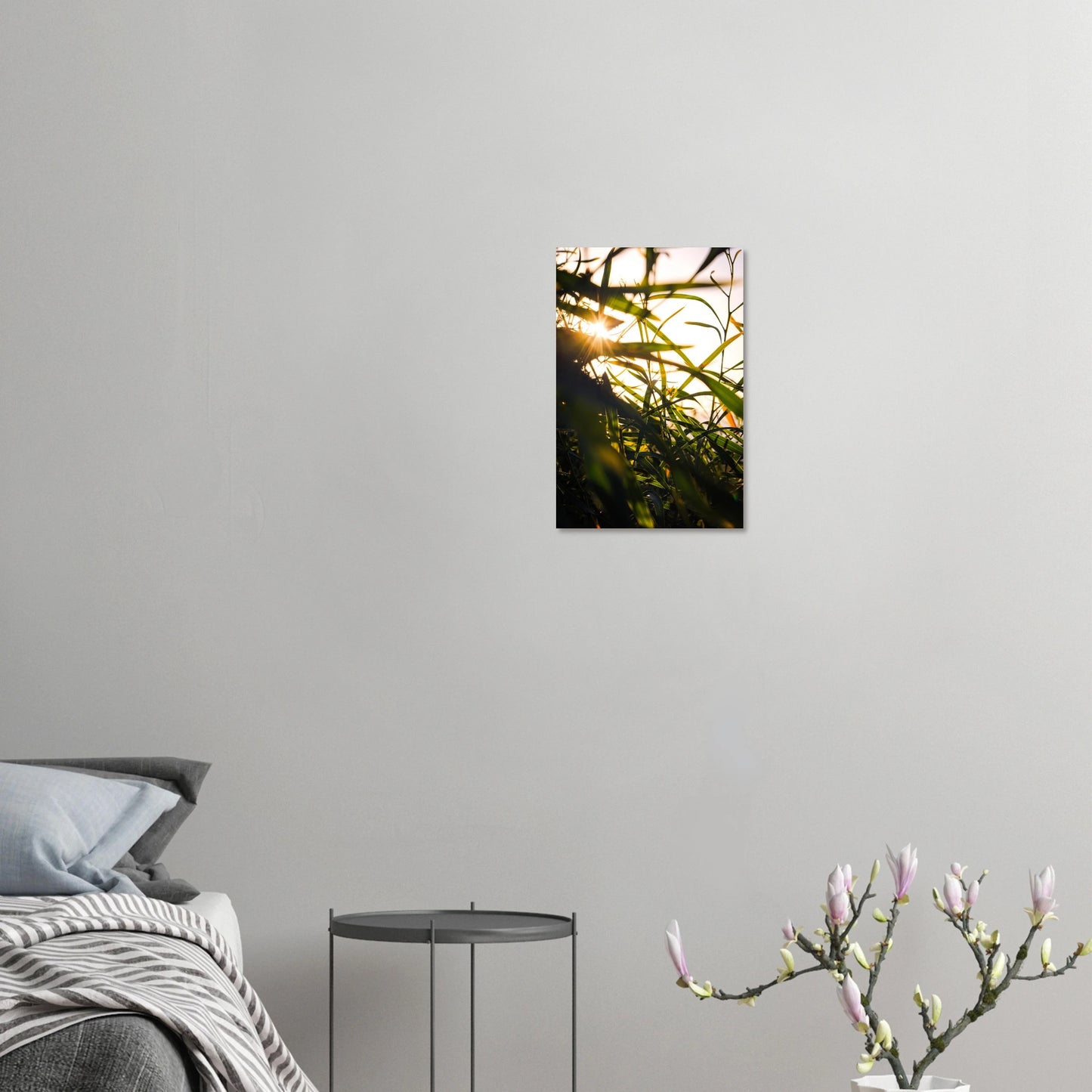 ccfc5d68-414f-4e70-a837-9a93a9292028