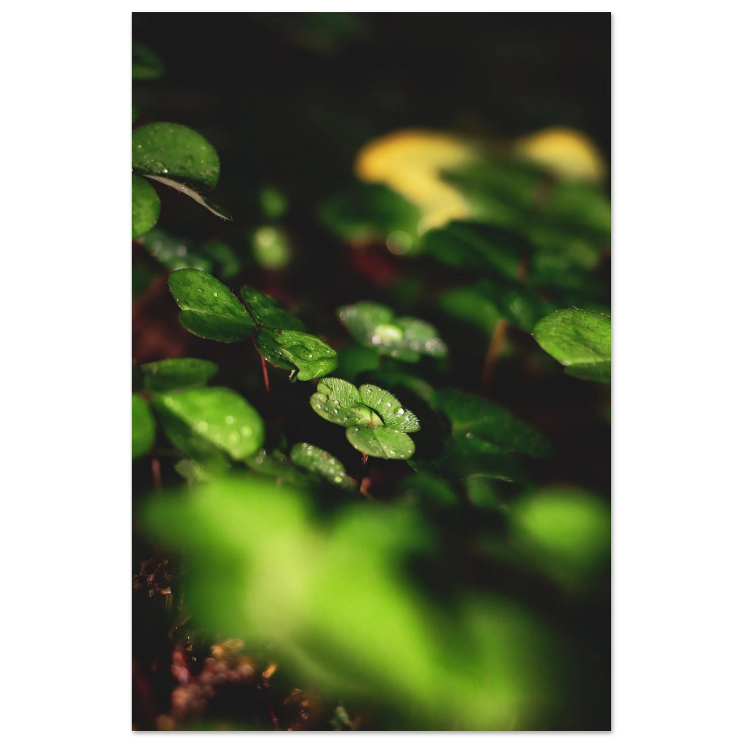 cd05b08f-50fe-48db-a1fd-deee11a0003c