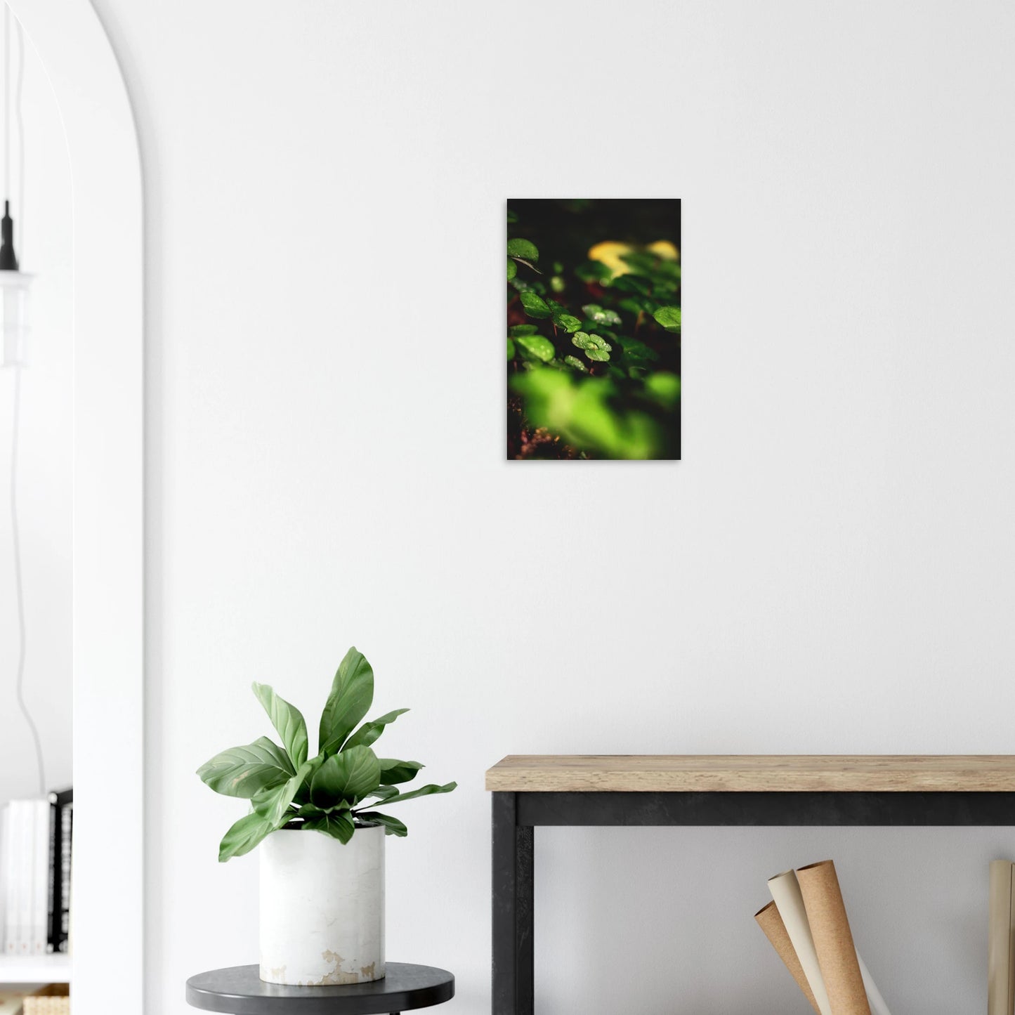 d44661d9-498b-4b3d-a411-e3da2861e9b2