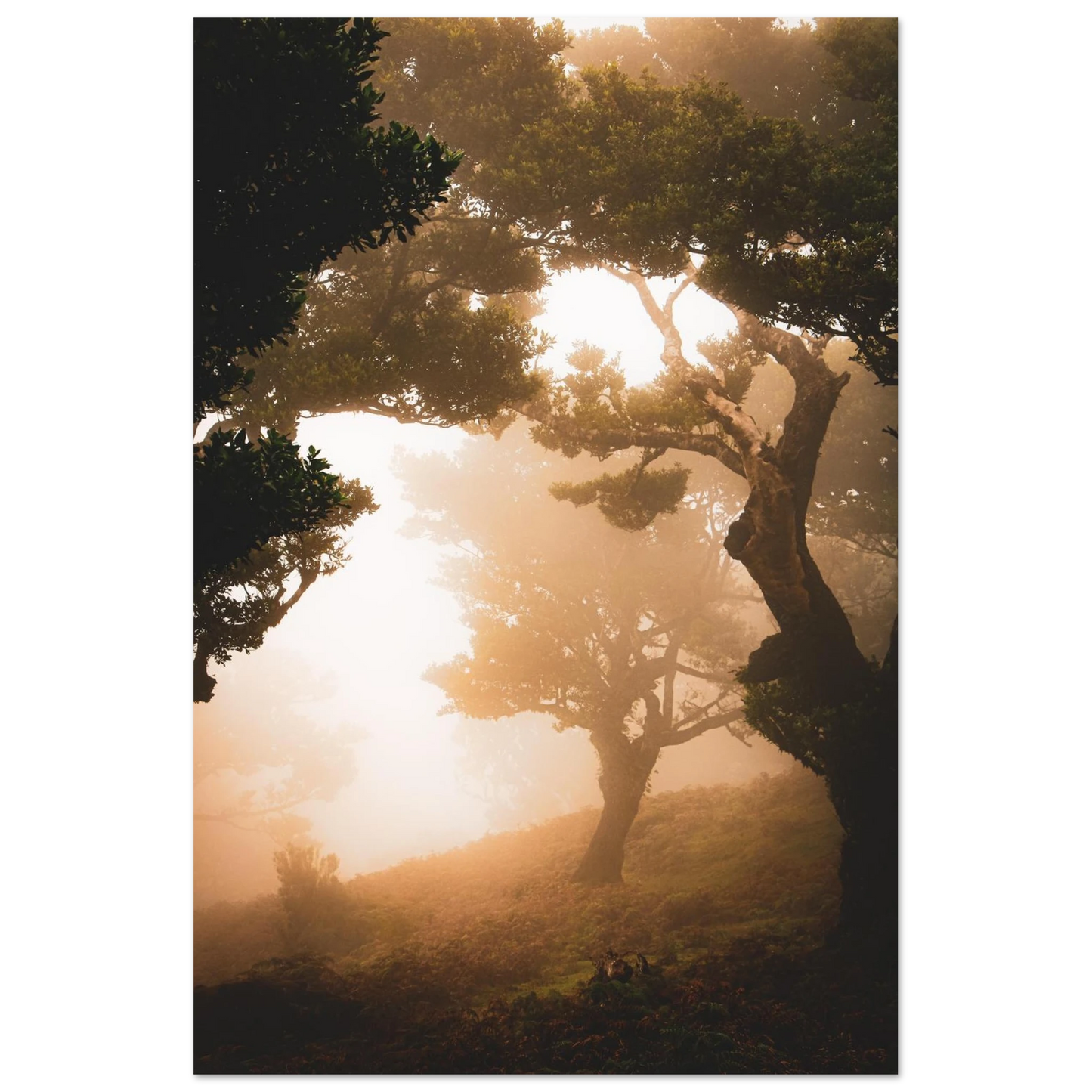 db183571-f091-4825-aebe-364402a2b3a2