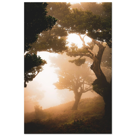 db183571-f091-4825-aebe-364402a2b3a2